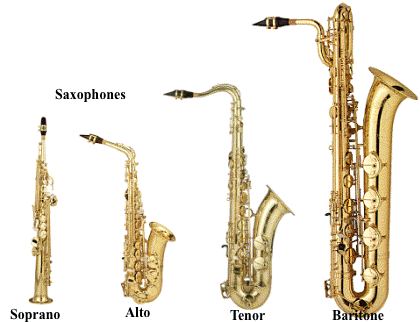 instrument trumpet trombone french horn etc and a woodwind instrument 
